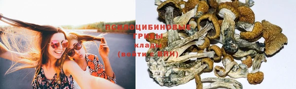 скорость Алексин