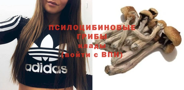 прущая мука Алзамай