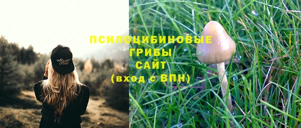 прущая мука Абаза