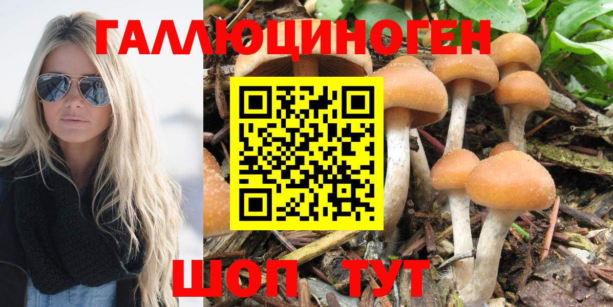 Галлюциногенные грибы MAGIC MUSHROOMS Копейск