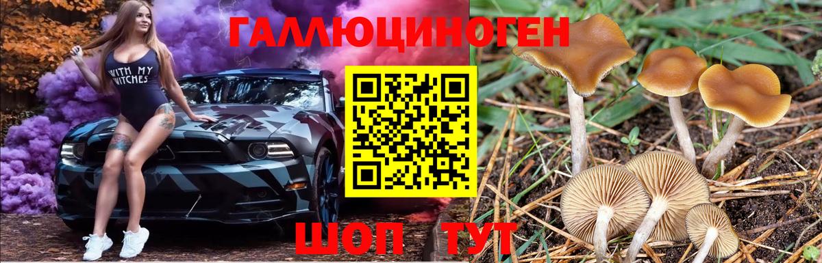 Галлюциногенные грибы ЛСД  Галлюциногенные грибы Psilocybine cubensis  Вход с VPN  Копейск 