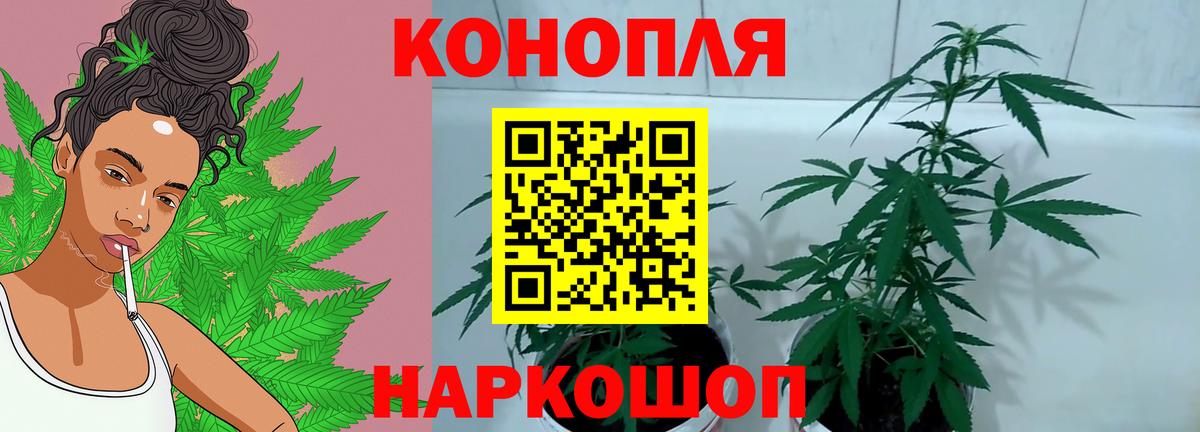 Каннабис Ganja  Бошки Шишки конопля  Вход с VPN  Копейск  Канабис ГИДРОПОН 